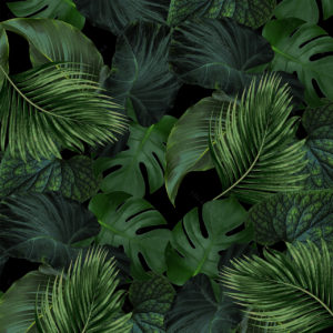 Hunter Green Botanical Pattern 30x30 From Amazonica Collection- Lola Valentina High End Table Linen Rental