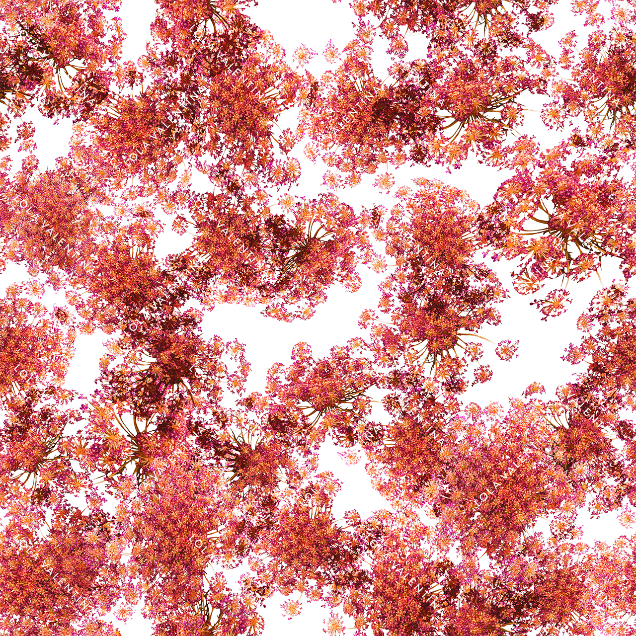Coral-Annes-Lace-Floral-Pattern