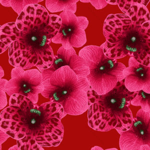 Hot Pink Cherry Orchid Pattern 30x30 From Amazonica Collection- Lola Valentina High End Table Linen Rental