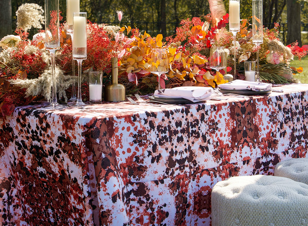 JACQUARD Collection at Lola Valentina