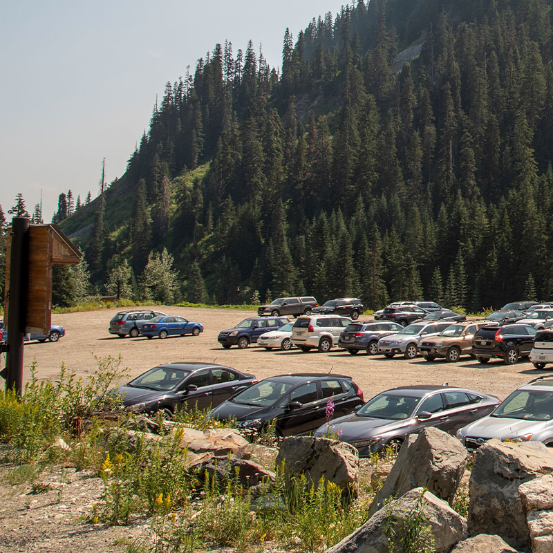 wedding-parking