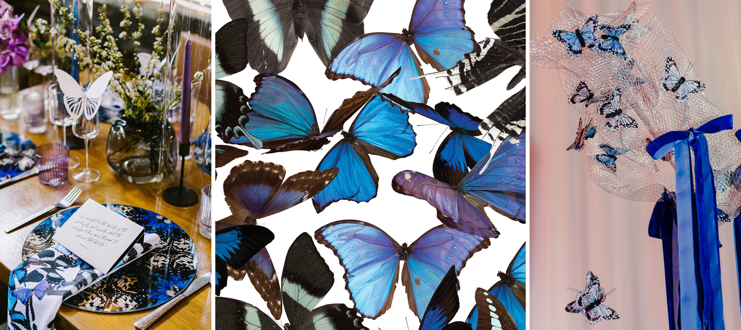 Planning a Butterfly Event