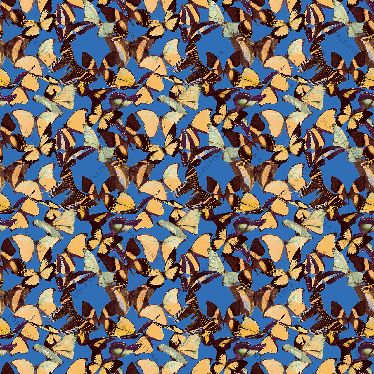 Sunset Blue Morphini Pattern 30x30 From Butterfly Collection- Lola Valentina High End Table Linen Rental