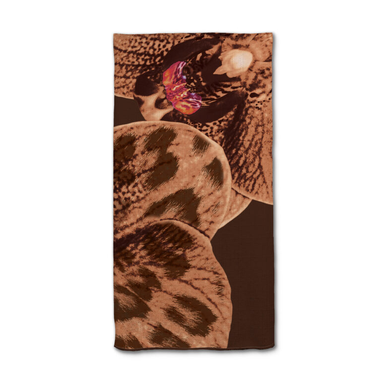 Apricot Chocolate Orchid in Product Type: 