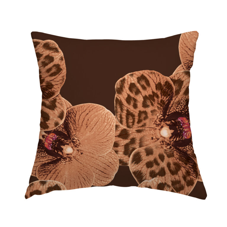 Apricot Chocolate Orchid in Product Type: