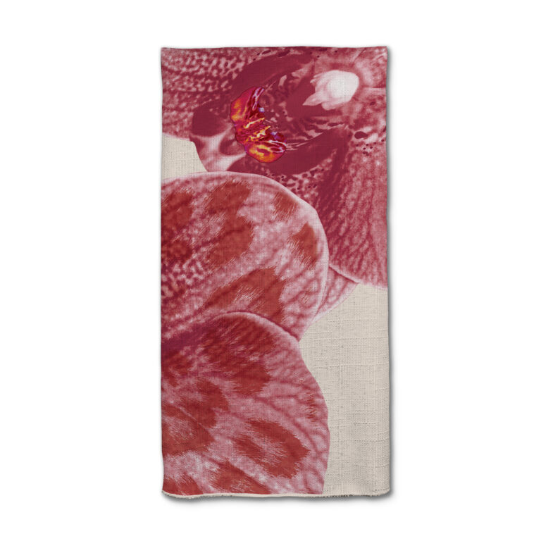 Bubblegum Cream Orchid in Product Type: 