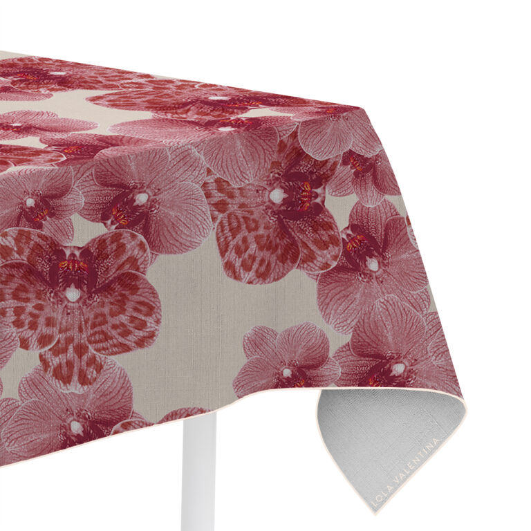 Bubblegum Cream Orchid in Product Type: 