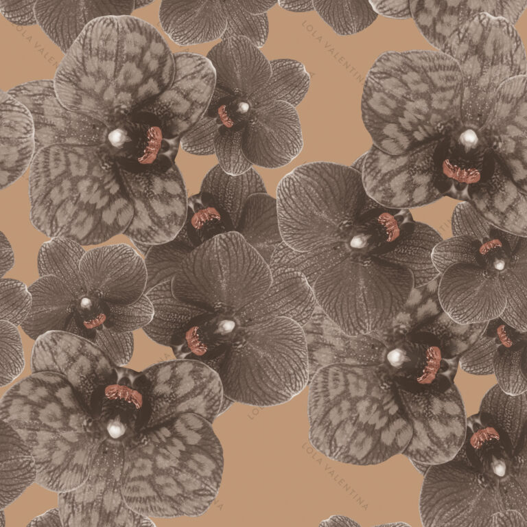 Iced Coffee Caramel Orchid in Product Type: 