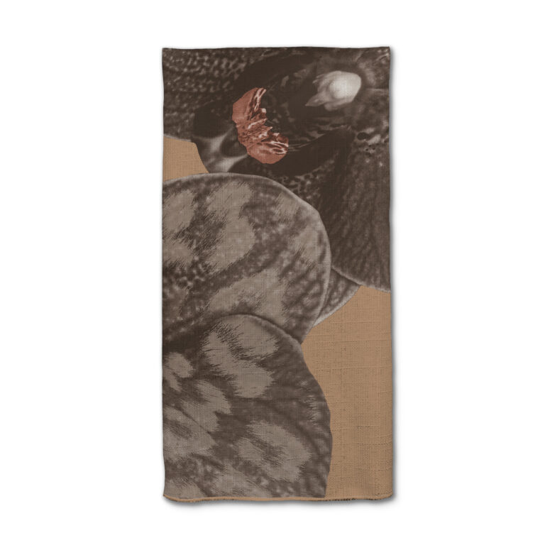 Iced Coffee Caramel Orchid in Product Type: 