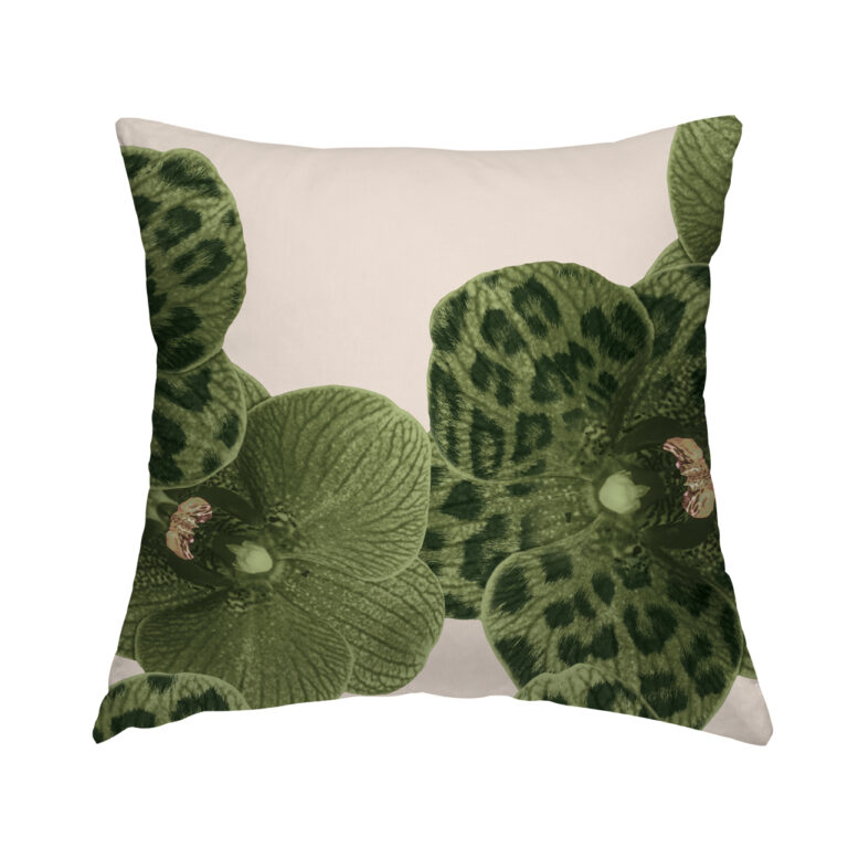 Loden Cream Orchid in Product Type: