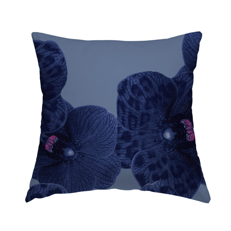 Midnight French Blue Orchid in Product Type: 