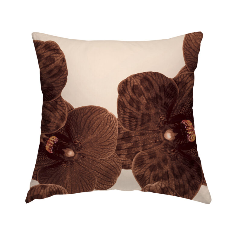 Rootbeer Cream Orchid in Product Type: