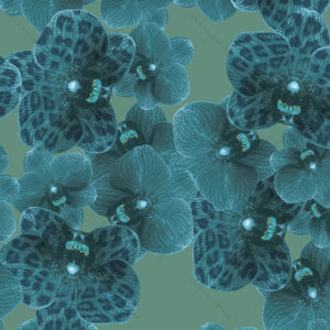Teal Celadon Orchid