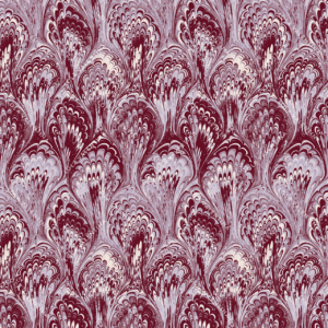 Maroon Orchid Bloom Ebru